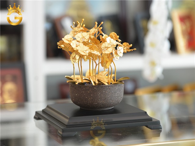 Chậu hoa lan hồ điệp 12 cành đẹp tinh xảo làm quà tặng cao cấp