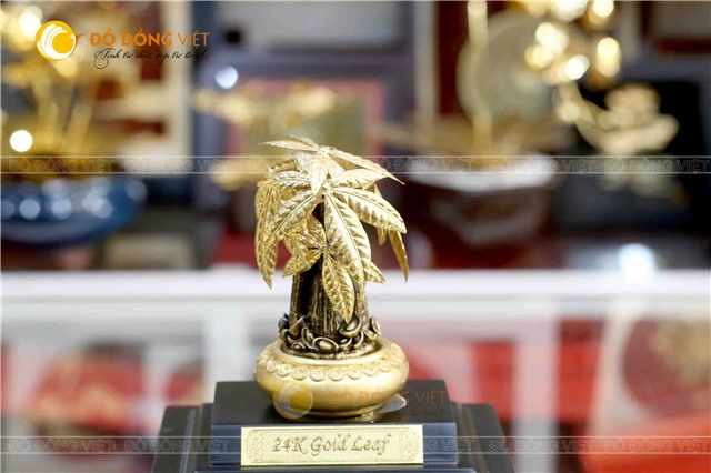 Cây kim ngân phát tài làm quà tặng khai trương