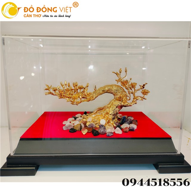 CÂY MAI DÁT VÀNG – KIỆT TÁC PHONG THỦY ĐÓN PHÚ QUÝ