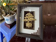 Quà tặng cây tài lộc mạ vàng 24k cao cấp