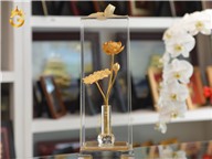 Mua cây hoa sen mạ vàng tại Đồ đồng Việt Cần Thơ