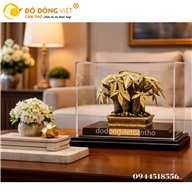 CÂY KIM NGÂN DÁT VÀNG – KIỆT TÁC PHONG THỦY THU HÚT TÀI LỘC